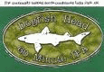 fish60min.gif
